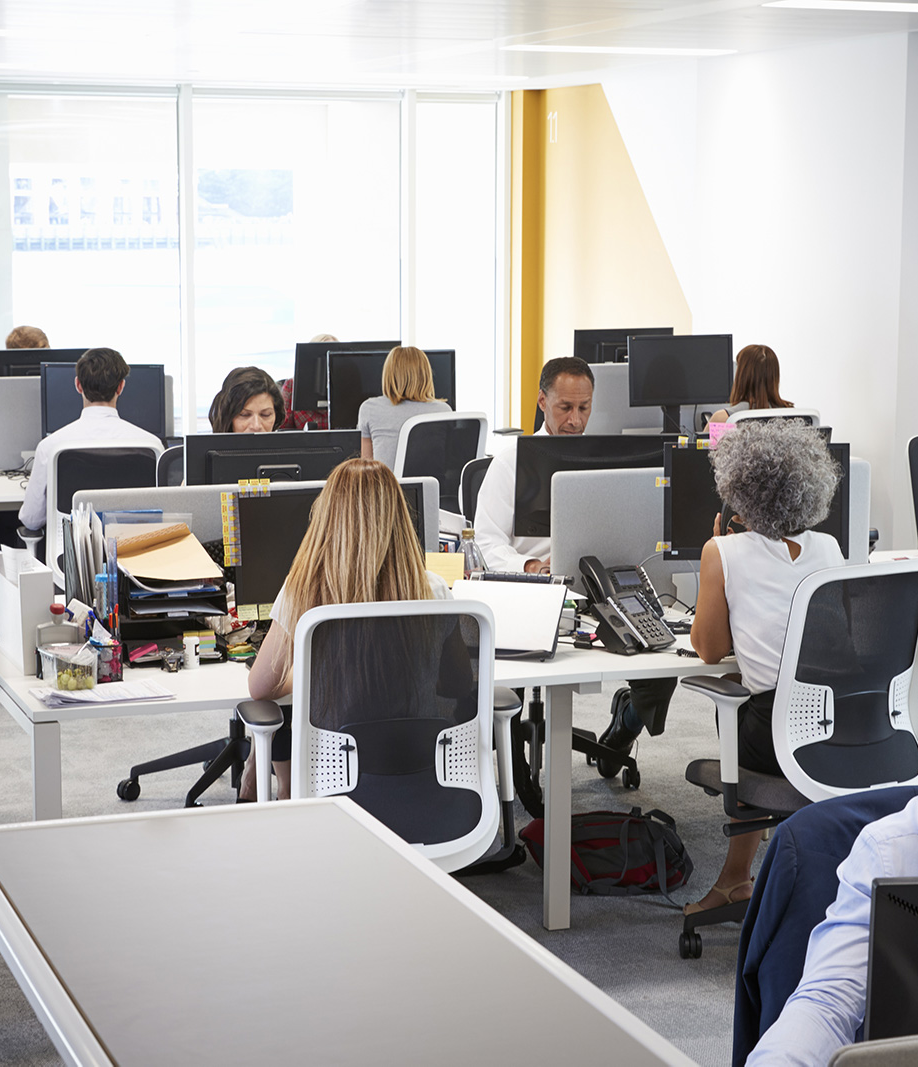 Workers in an office Workers in an office